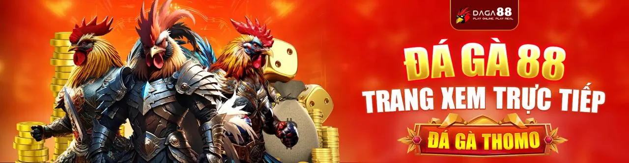Sân chơi đá gà trực tuyến Kimsa App