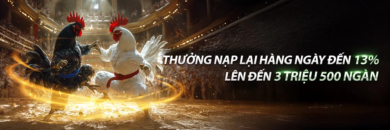 Chương trình VIP độc quyền Kimsa App
